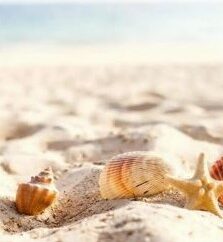 5 Things to do in Lemnos